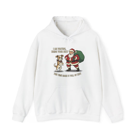 Christmas Hoodie — “I Am Waiting, Bring Your Best! This Time Make it Full Of Zest” Festive Santa & Elf Sweatshirt